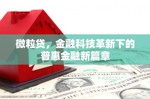 荷塘微粒贷，金融科技革新下的普惠金融新篇章