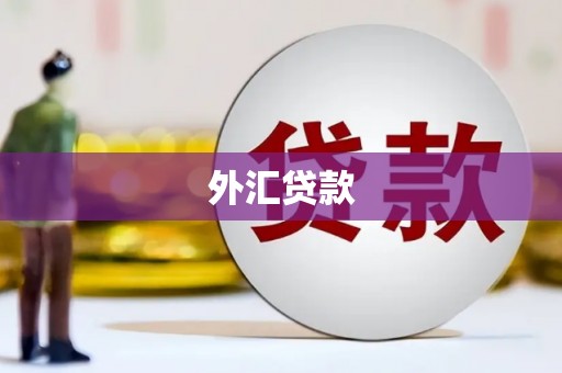荷塘外汇贷款