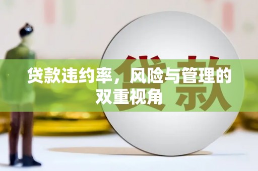 荷塘贷款违约率，风险与管理的双重视角
