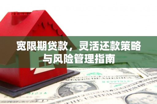 荷塘宽限期贷款，灵活还款策略与风险管理指南