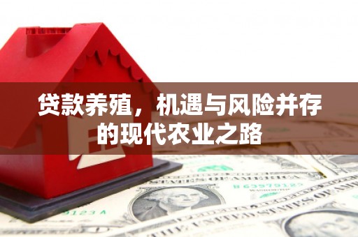 荷塘贷款养殖，机遇与风险并存的现代农业之路