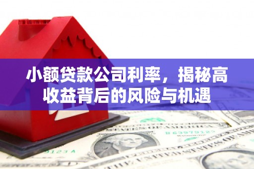 荷塘小额贷款公司利率，揭秘高收益背后的风险与机遇