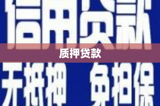 荷塘质押贷款