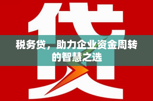 荷塘税务贷，助力企业资金周转的智慧之选