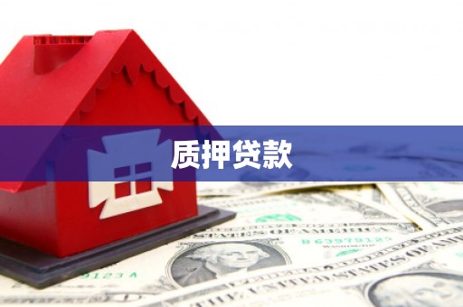 荷塘质押贷款