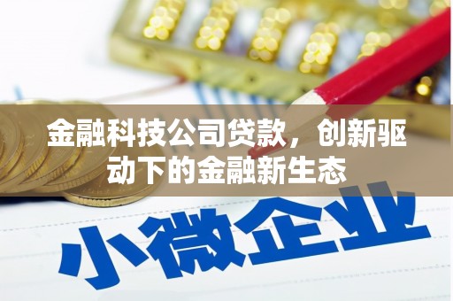 荷塘金融科技公司贷款，创新驱动下的金融新生态