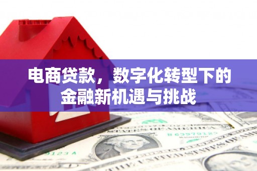 荷塘电商贷款，数字化转型下的金融新机遇与挑战