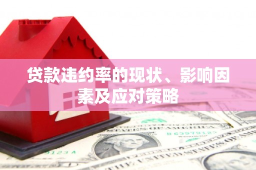 荷塘贷款违约率的现状、影响因素及应对策略