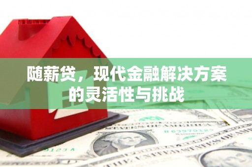 荷塘随薪贷，现代金融解决方案的灵活性与挑战