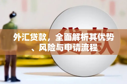 荷塘外汇贷款，全面解析其优势、风险与申请流程