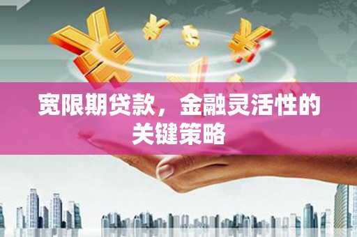 荷塘宽限期贷款，金融灵活性的关键策略