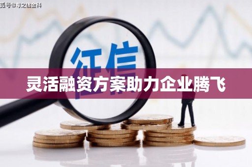 荷塘灵活融资方案助力企业腾飞