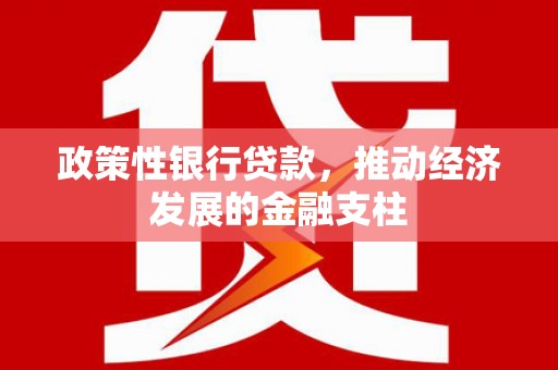 荷塘政策性银行贷款，推动经济发展的金融支柱