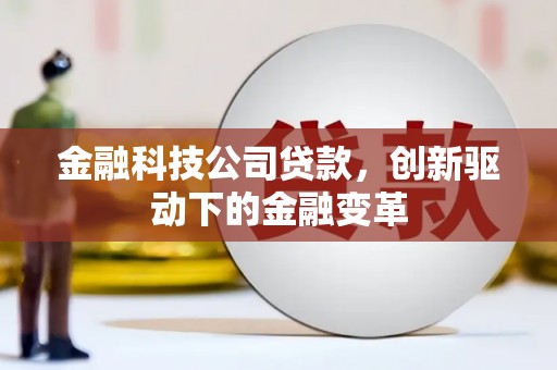 荷塘金融科技公司贷款，创新驱动下的金融变革