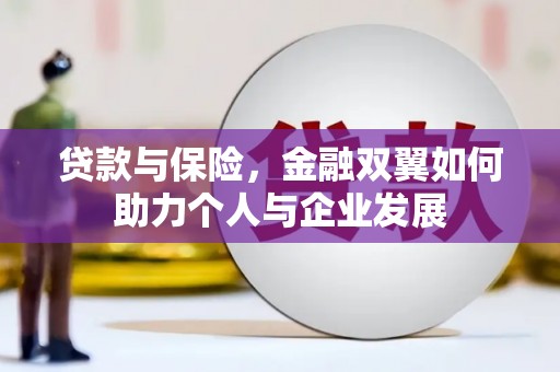 荷塘贷款与保险，金融双翼如何助力个人与企业发展