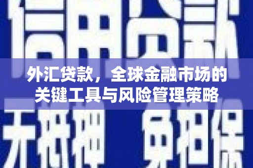 荷塘外汇贷款，全球金融市场的关键工具与风险管理策略