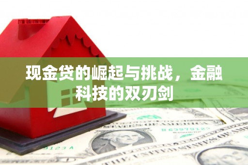 荷塘现金贷的崛起与挑战，金融科技的双刃剑