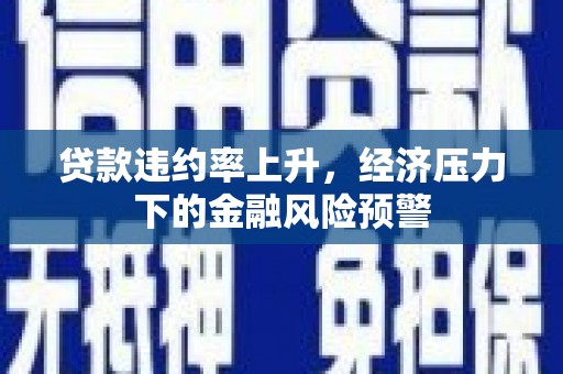 荷塘贷款违约率上升，经济压力下的金融风险预警