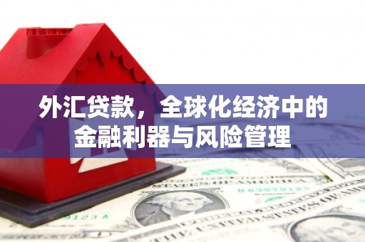 荷塘外汇贷款，全球化经济中的金融利器与风险管理