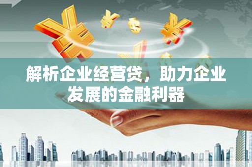 荷塘解析企业经营贷，助力企业发展的金融利器