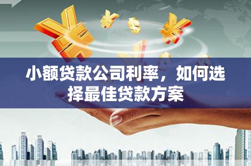 荷塘小额贷款公司利率，如何选择最佳贷款方案