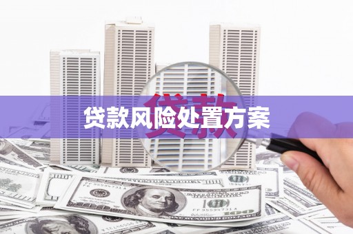 荷塘贷款风险处置方案