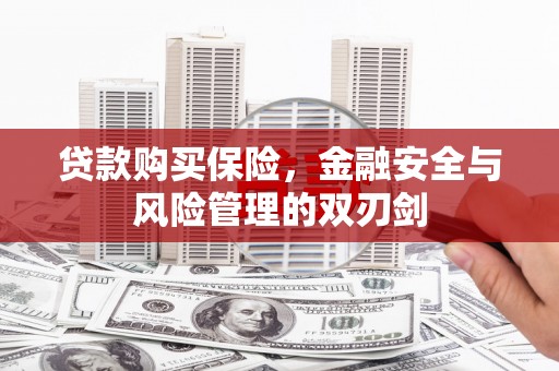荷塘贷款购买保险，金融安全与风险管理的双刃剑