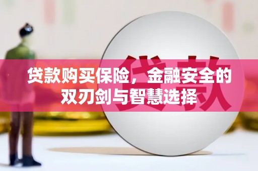 荷塘贷款购买保险，金融安全的双刃剑与智慧选择