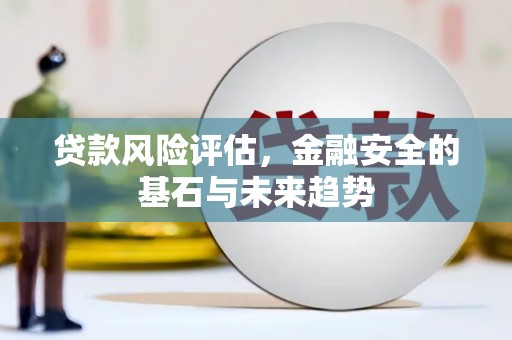 荷塘贷款风险评估，金融安全的基石与未来趋势