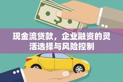荷塘现金流贷款，企业融资的灵活选择与风险控制