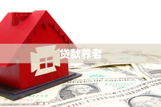 荷塘贷款养老