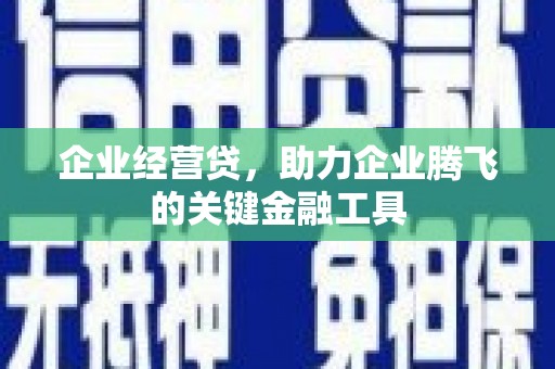 荷塘企业经营贷，助力企业腾飞的关键金融工具