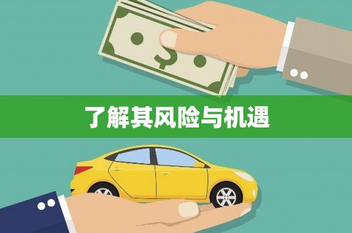 荷塘了解其风险与机遇