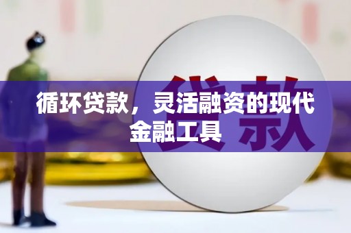 荷塘循环贷款，灵活融资的现代金融工具
