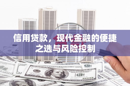 荷塘信用贷款，现代金融的便捷之选与风险控制
