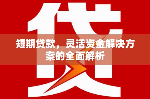 荷塘短期贷款，灵活资金解决方案的全面解析