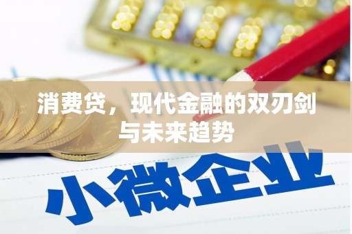 荷塘消费贷，现代金融的双刃剑与未来趋势