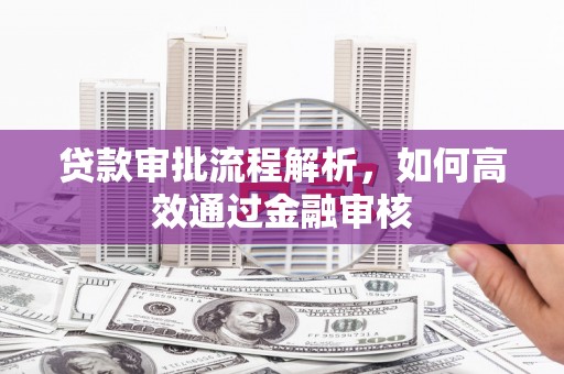 荷塘贷款审批流程解析，如何高效通过金融审核