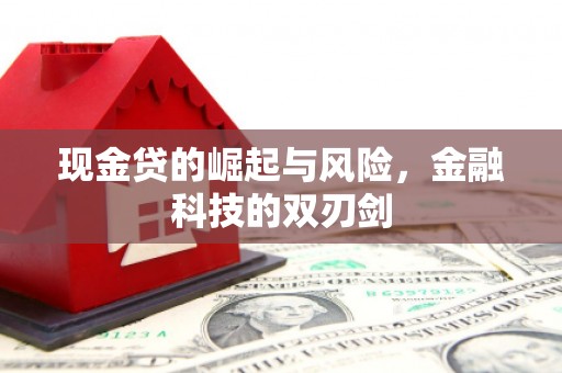 荷塘现金贷的崛起与风险，金融科技的双刃剑