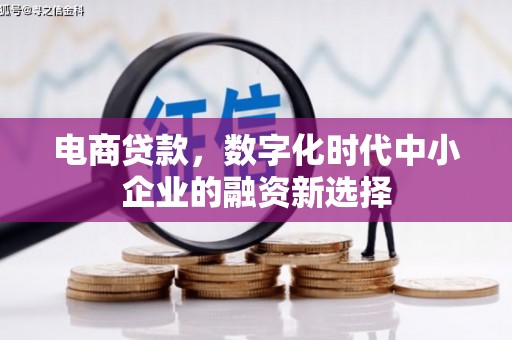 荷塘电商贷款，数字化时代中小企业的融资新选择