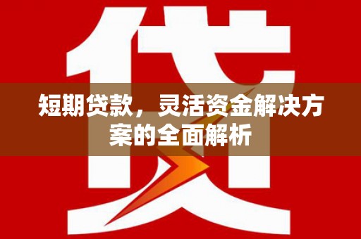 荷塘短期贷款，灵活资金解决方案的全面解析