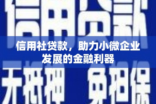 荷塘信用社贷款，助力小微企业发展的金融利器
