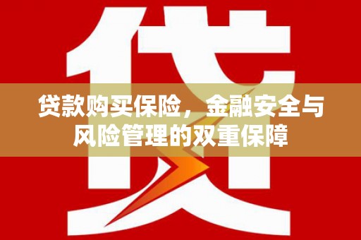 荷塘贷款购买保险，金融安全与风险管理的双重保障