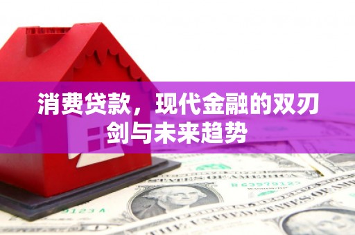 荷塘消费贷款，现代金融的双刃剑与未来趋势