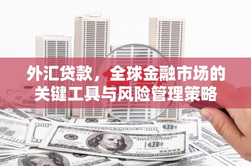 荷塘外汇贷款，全球金融市场的关键工具与风险管理策略