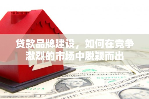 荷塘贷款品牌建设，如何在竞争激烈的市场中脱颖而出