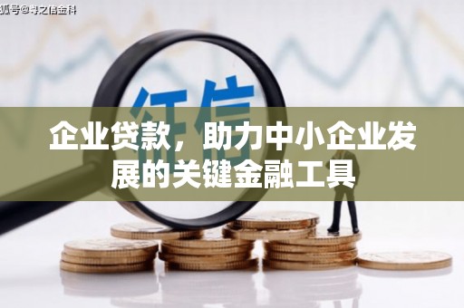 荷塘企业贷款，助力中小企业发展的关键金融工具
