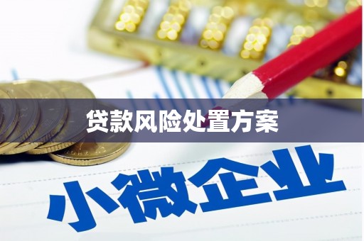 荷塘贷款风险处置方案