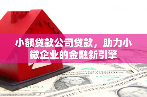 荷塘小额贷款公司贷款，助力小微企业的金融新引擎