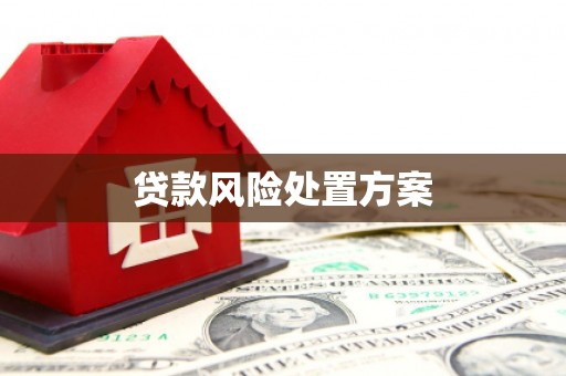 荷塘贷款风险处置方案